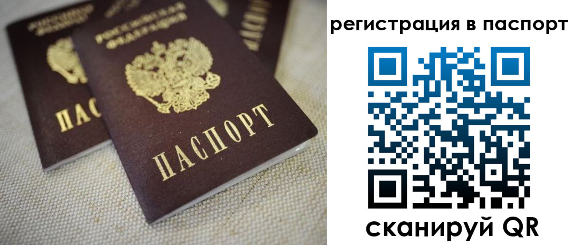прописка гарантия в Тюкалинске